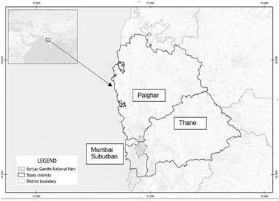 Sharing Spaces and Entanglements With Big Cats: The Warli and Their Waghoba in Maharashtra, India